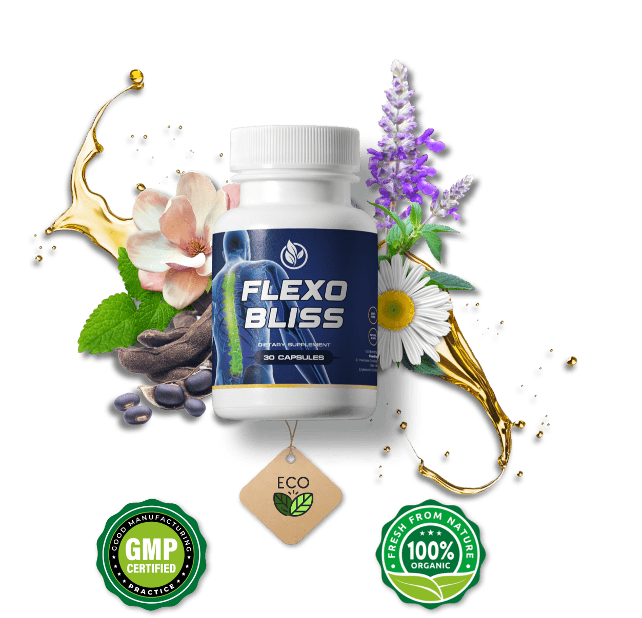 FlexoBliss lower back pain supplement